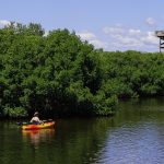 LANZAMIENTO DE LA VENTANILLA DE NEGOCIOS VERDES DE EPA CARTAGENA